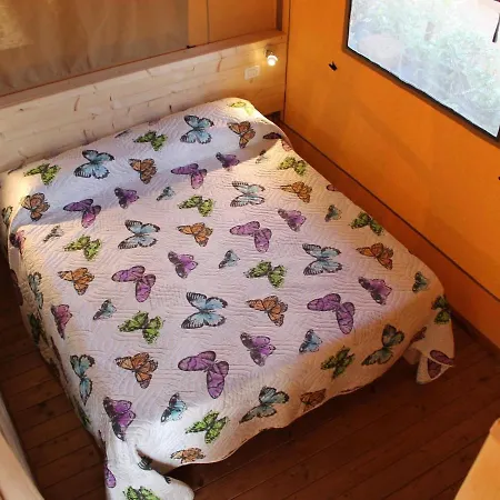 Inviting Tent In With Shared Pool Luxury tent
